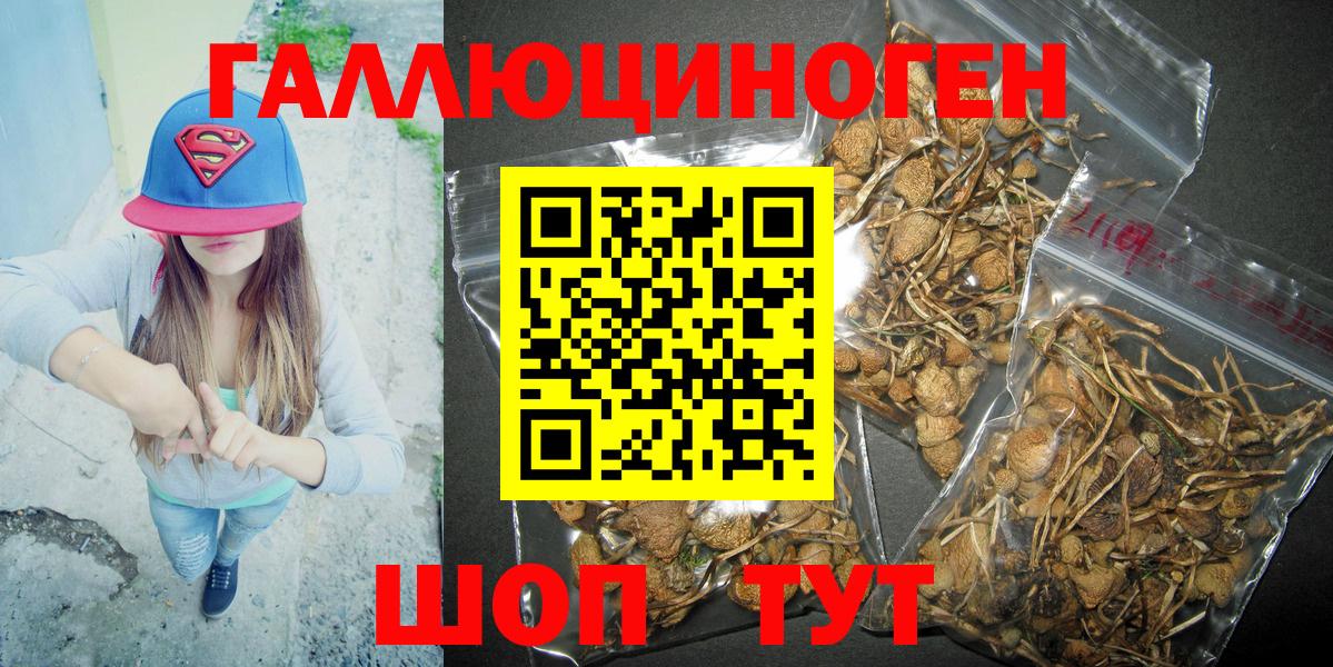 Протвино  Галлюциногенные грибы MAGIC MUSHROOMS  Вход с VPN 
